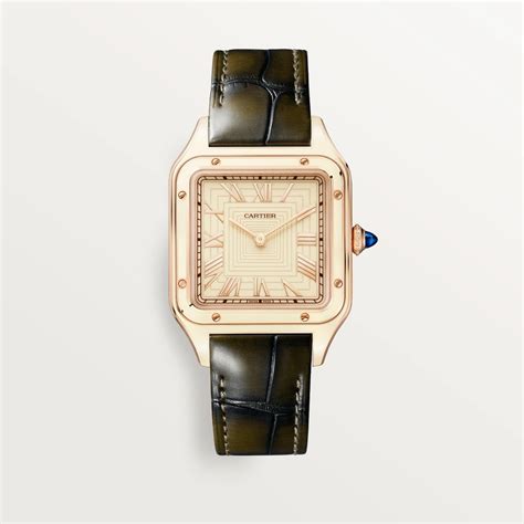 cartier wgsa0054 price.